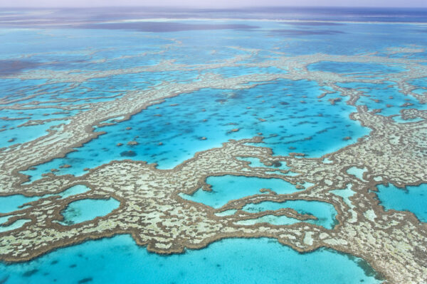 Aerial view of the Great Barrier Reef in Australia